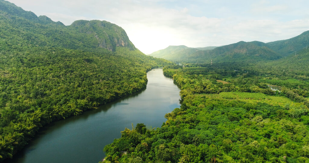Ibereolica y la conservación del medio ambiente