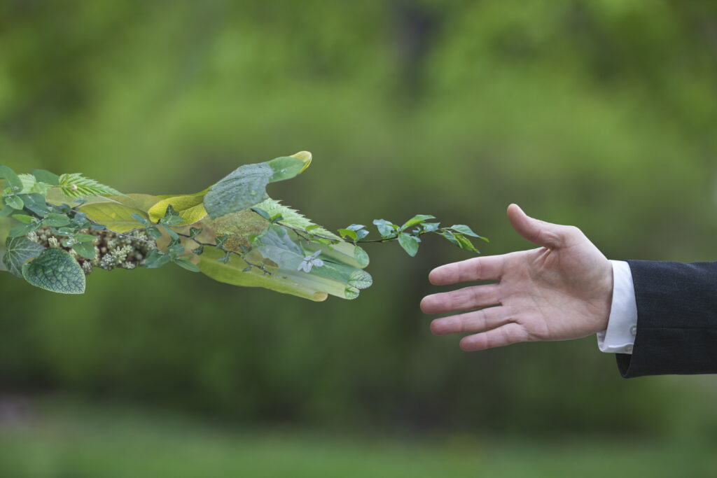 Economia de futuro, sosnible y eficiente green economy